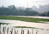 /album/enchente-/aenchente1-jpg/