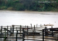 /album/enchente-/aenchente2-jpg/